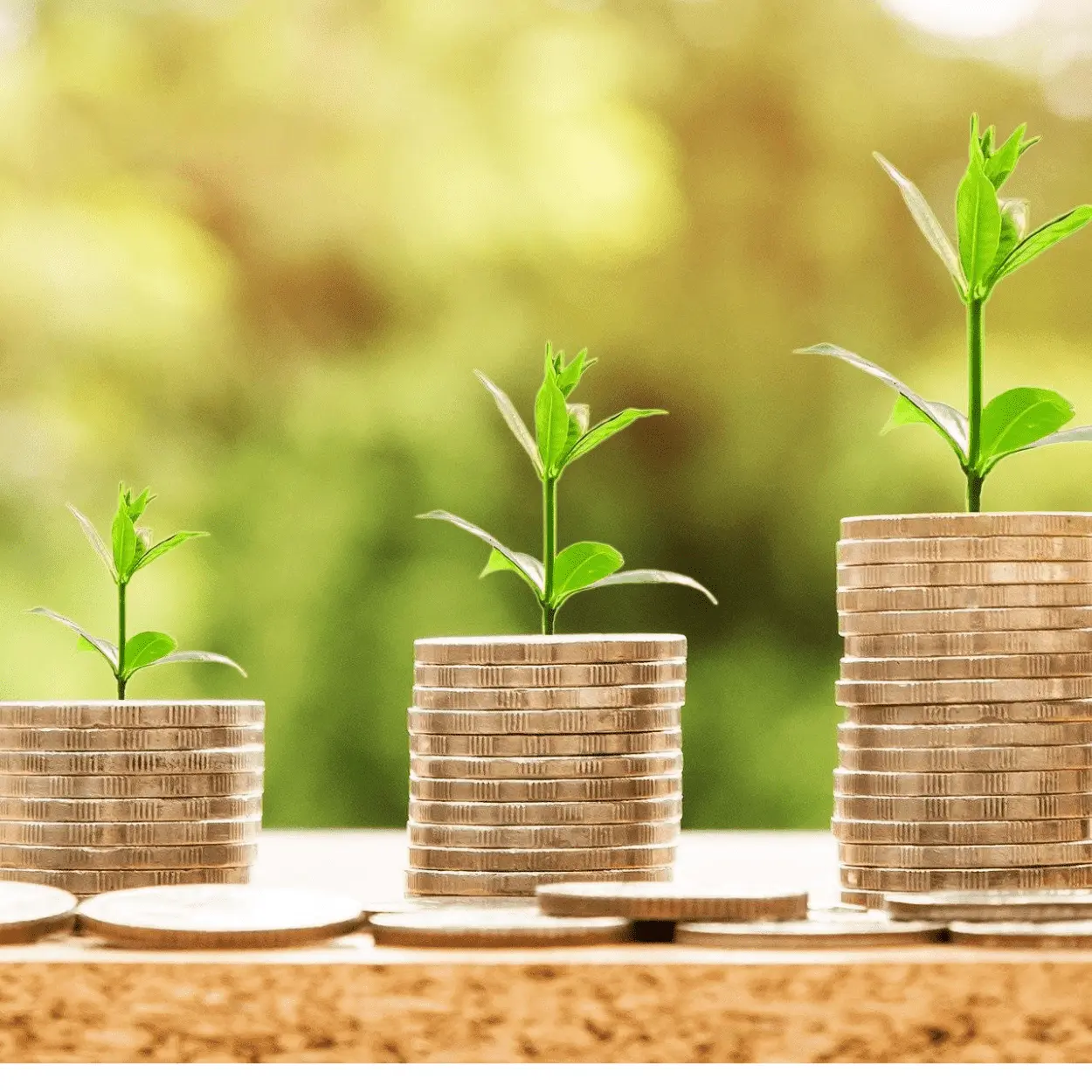três colunas de moedas com plantinhas crescendo IPCA: entenda índice que mede a inflação