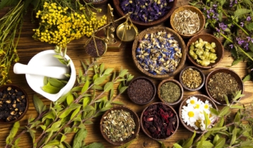 Plantas medicinais e fitoterápicos disponíveis pelo SUS