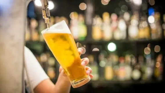 Tipos de cervejas artesanais: guia completo para iniciantes
