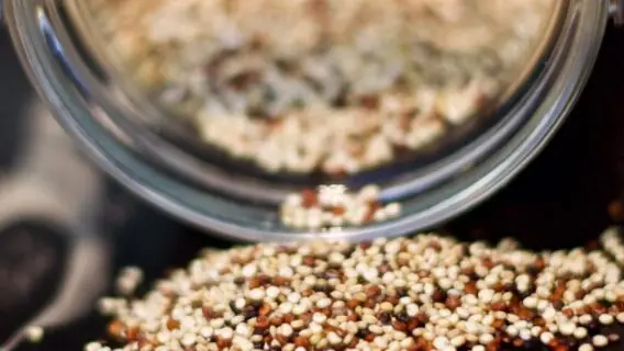Benefícios da Quinoa: 7 motivos para conhecer esse superalimento