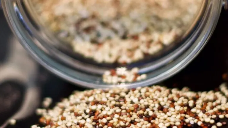 Benefícios da Quinoa: 7 motivos para conhecer esse superalimento