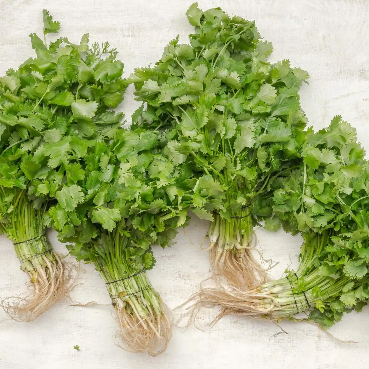 benefícios da salsa 2