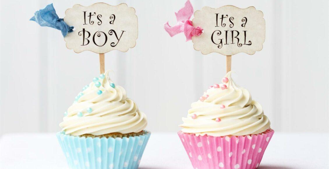 Dois cupcakes, um azul e outro rosa com as plaquinhas: menino ou menina?