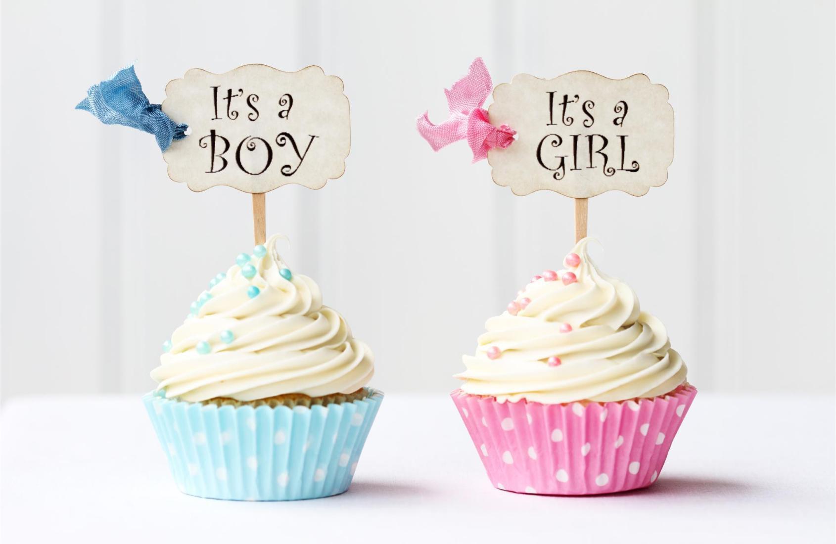 Dois cupcakes, um azul e outro rosa com as plaquinhas: menino ou menina?