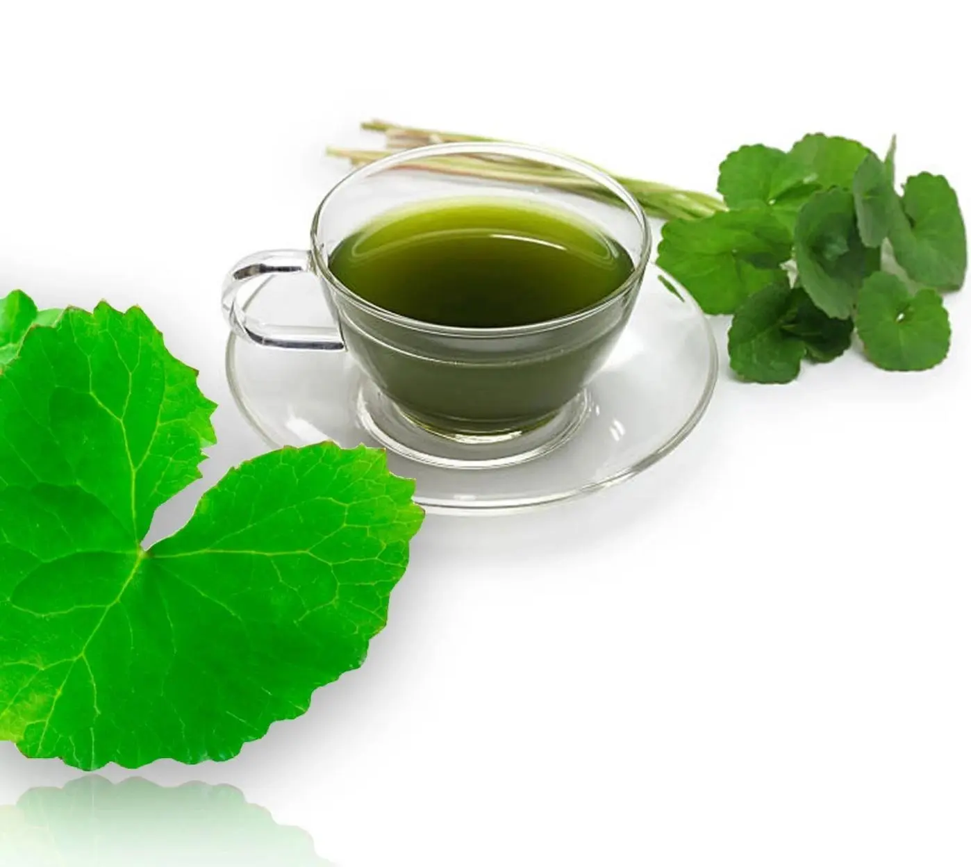 benefícios centella asiática 