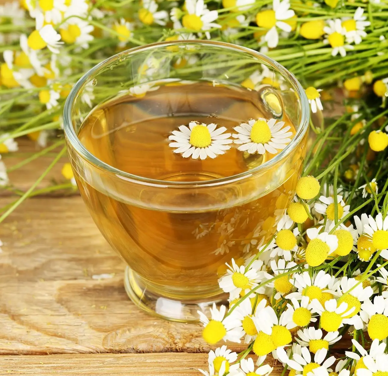 chá de camomila