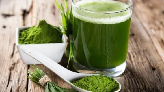 Chlorella: o que é, benefícios para a saúde e como consumir