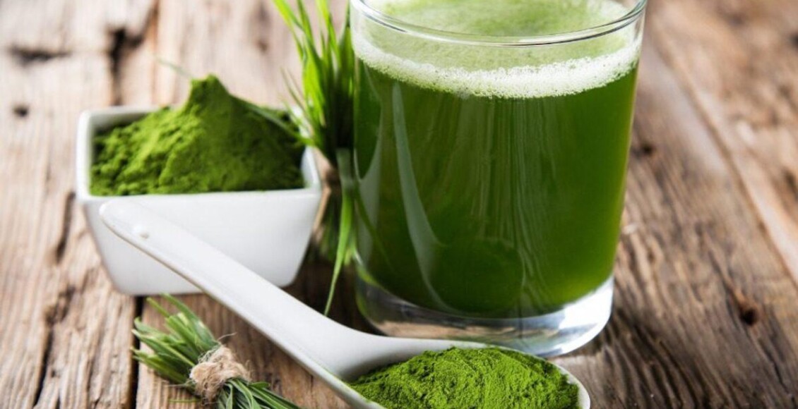 chlorella
