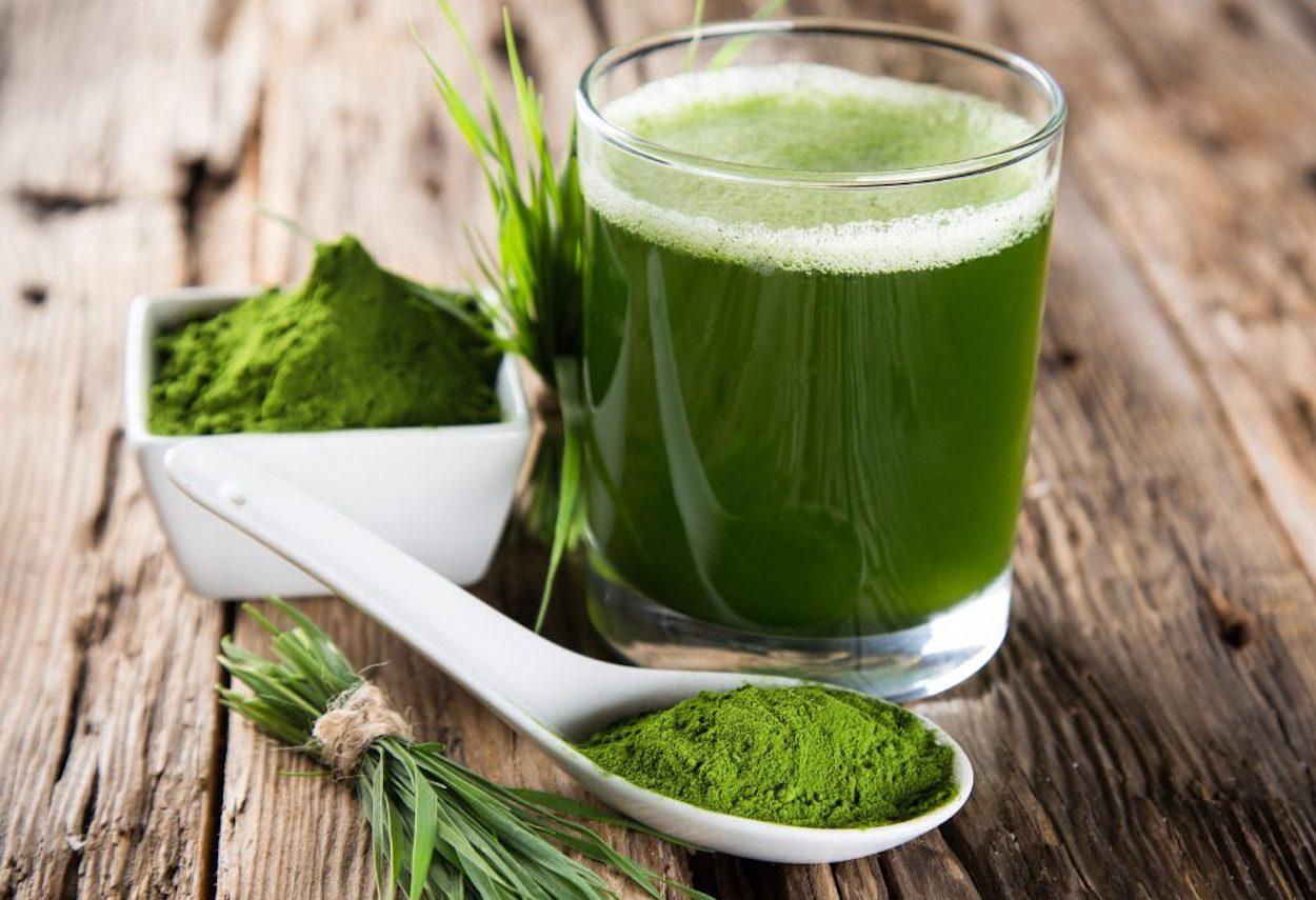 chlorella