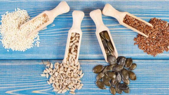 Ciclo das sementes: técnica natural que ajuda a regular os hormônios