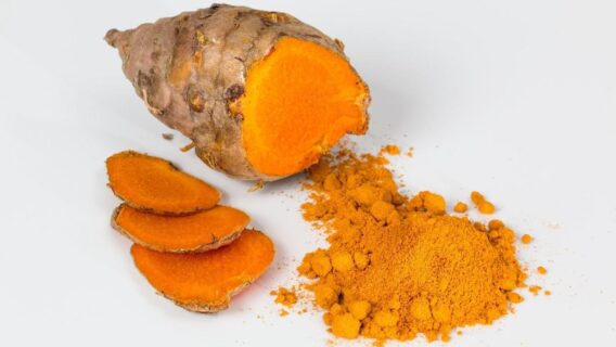 Cúrcuma: a raiz que desintoxica seu corpo e fortifica suas defesas