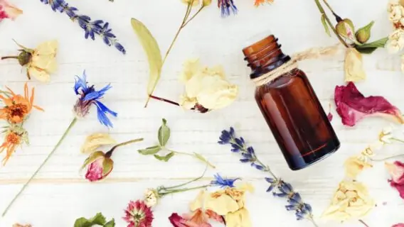 Óleos essenciais para o home office: saiba como aliviar o estresse