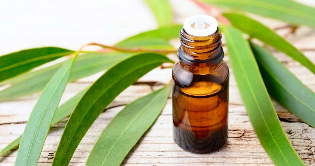 eucalyptus-oil-on-a-board-may-be-an-essential-oil-for-flu-1100x580.jpg