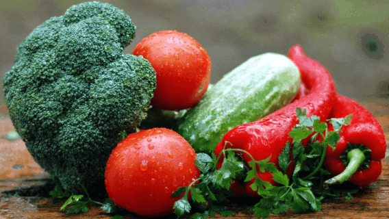 Fontes de Cálcio para vegetarianos: 5 alimentos para fortalecer os ossos