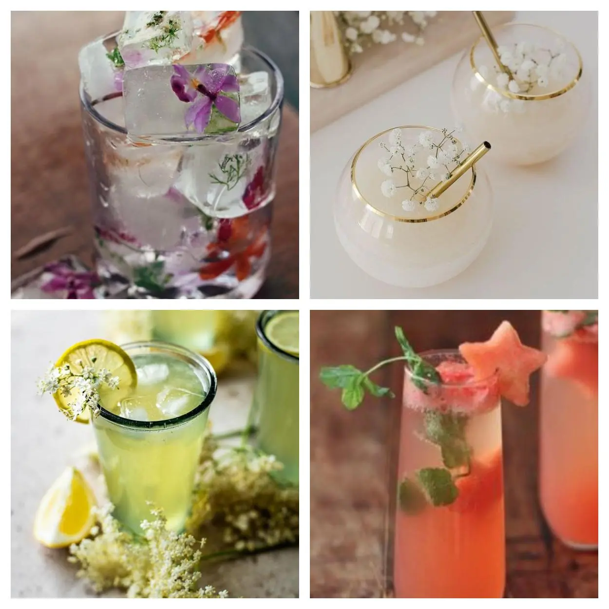 Ideias para servir a sua Gin Tônica Gin Tonica ornamentos