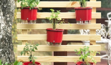 como fazer uma horta vertical