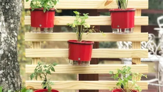 Horta vertical: aprenda a fazer a sua e colha suas próprias hortaliças
