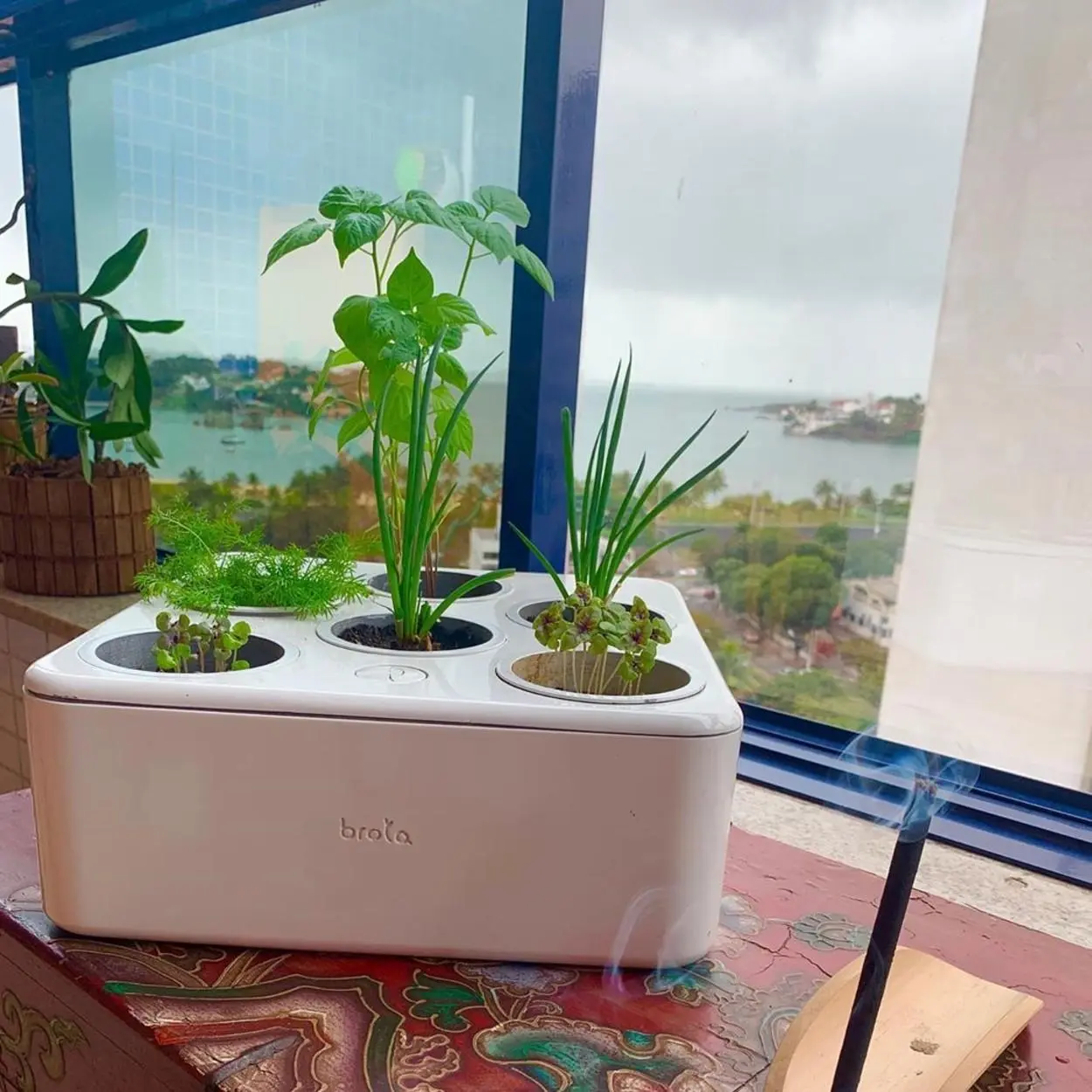 hortas inteligentes 2