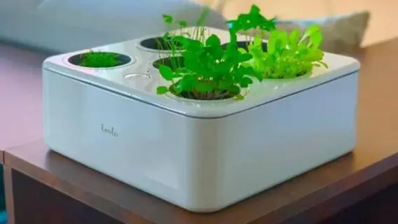 Hortas Inteligentes: a solução para espaços pequenos e jardineiros inexperientes