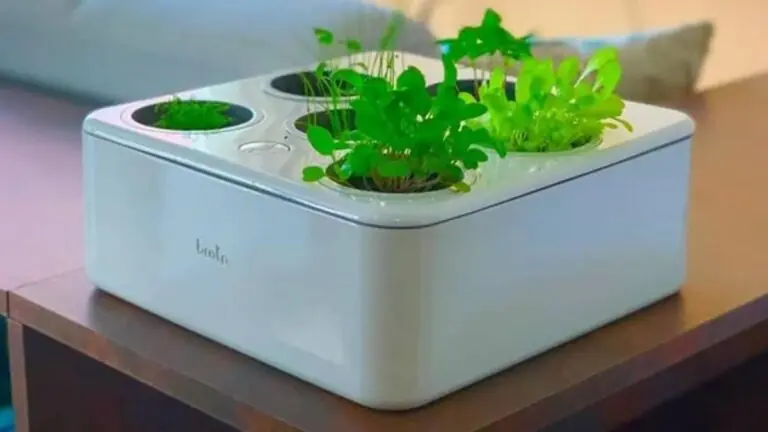 Hortas Inteligentes: a solução para espaços pequenos e jardineiros inexperientes