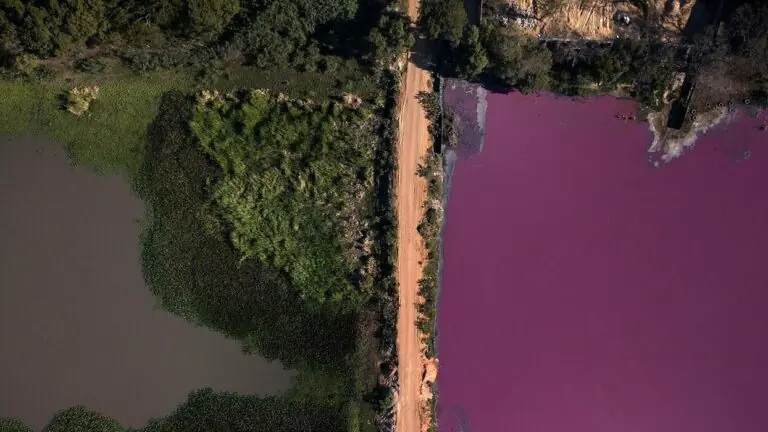 Lagoa paraguaia fica roxa de um lado e permanece azul do outro, fato intriga cientistas