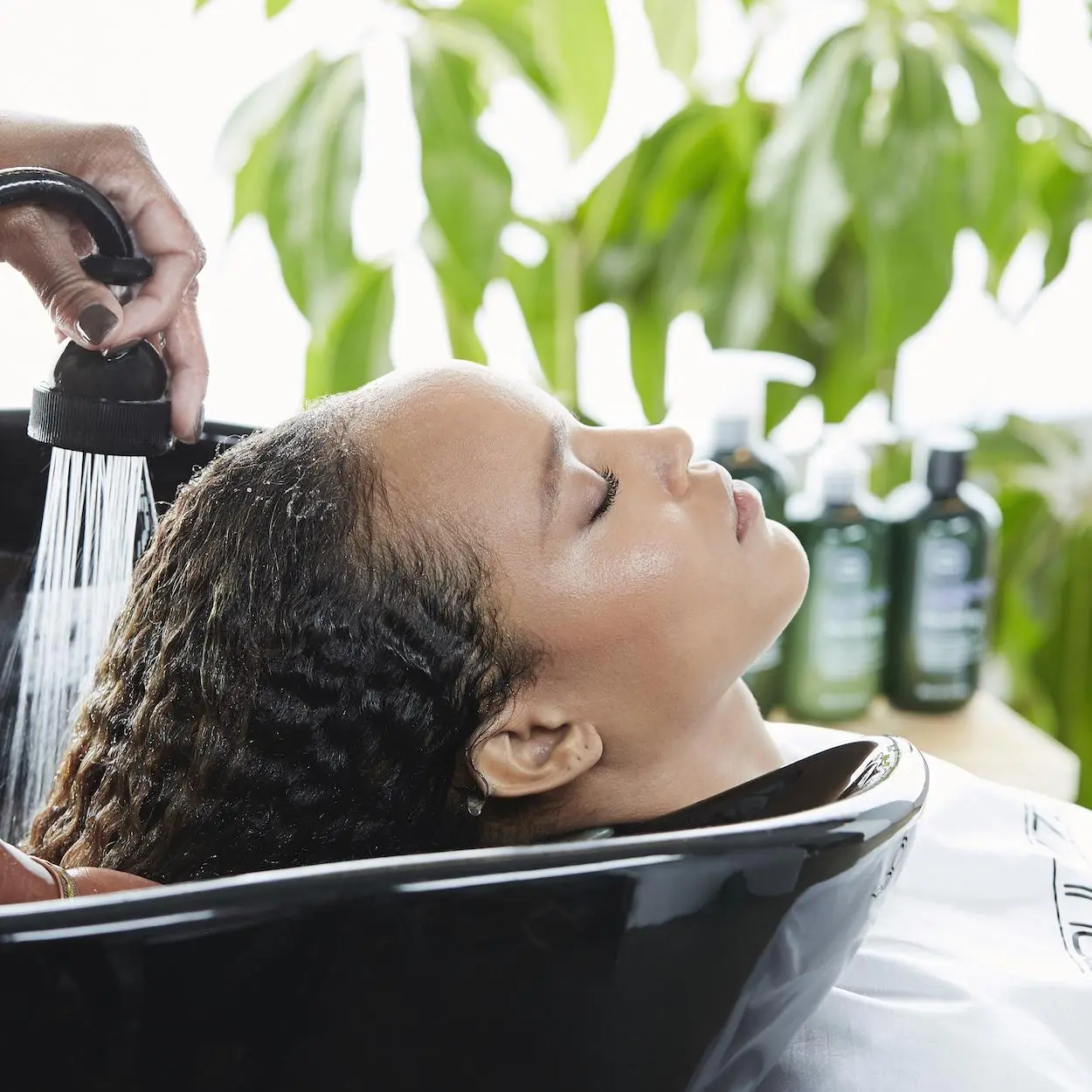 no poo para os cabelos