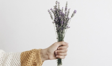 benefícios do óleo essencial de lavanda