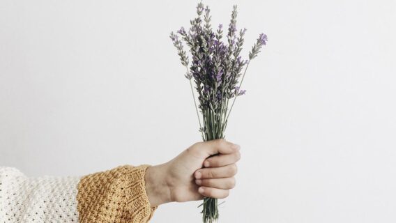 Óleo essencial de lavanda é calmante e auxilia no tratamento da acne