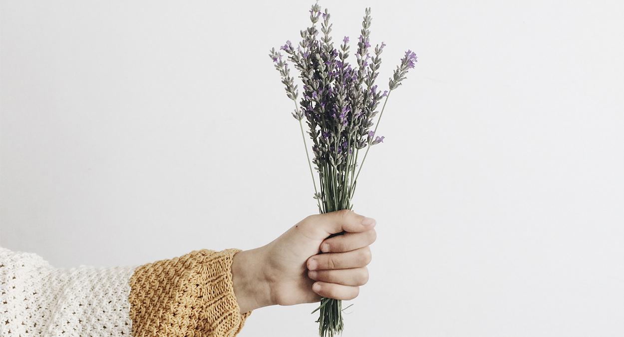 benefícios do óleo essencial de lavanda
