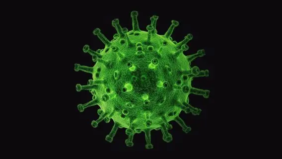 Pandemia pode acabar em dois anos, diz chefe da OMS