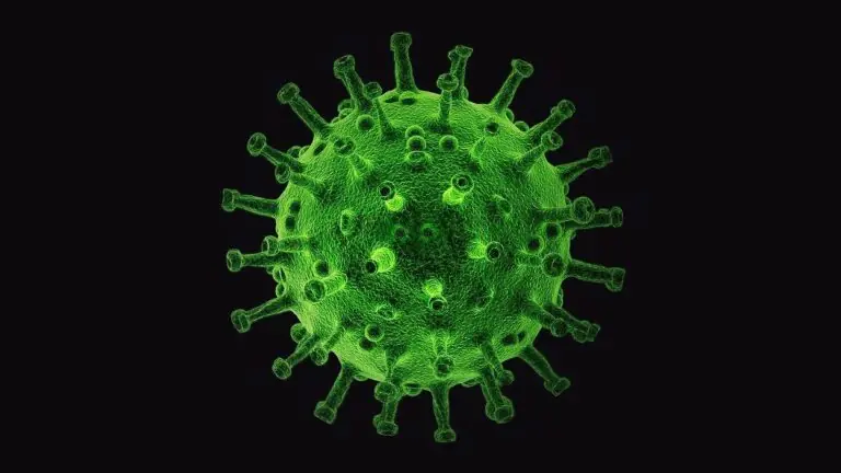 Pandemia pode acabar em dois anos, diz chefe da OMS