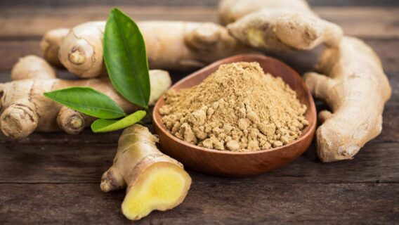 Como plantar gengibre: dicas para cuidar da planta em casa