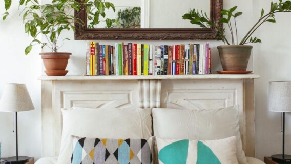 Plantas para quarto: decore seu ambiente com saúde!