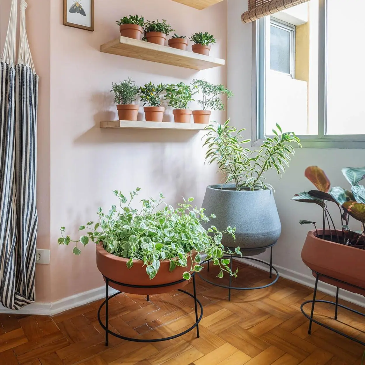 Avenca é opção de planta para quarto. 