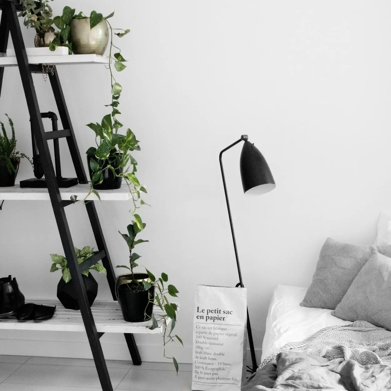 Quarto com algumas plantas trepadeiras. 