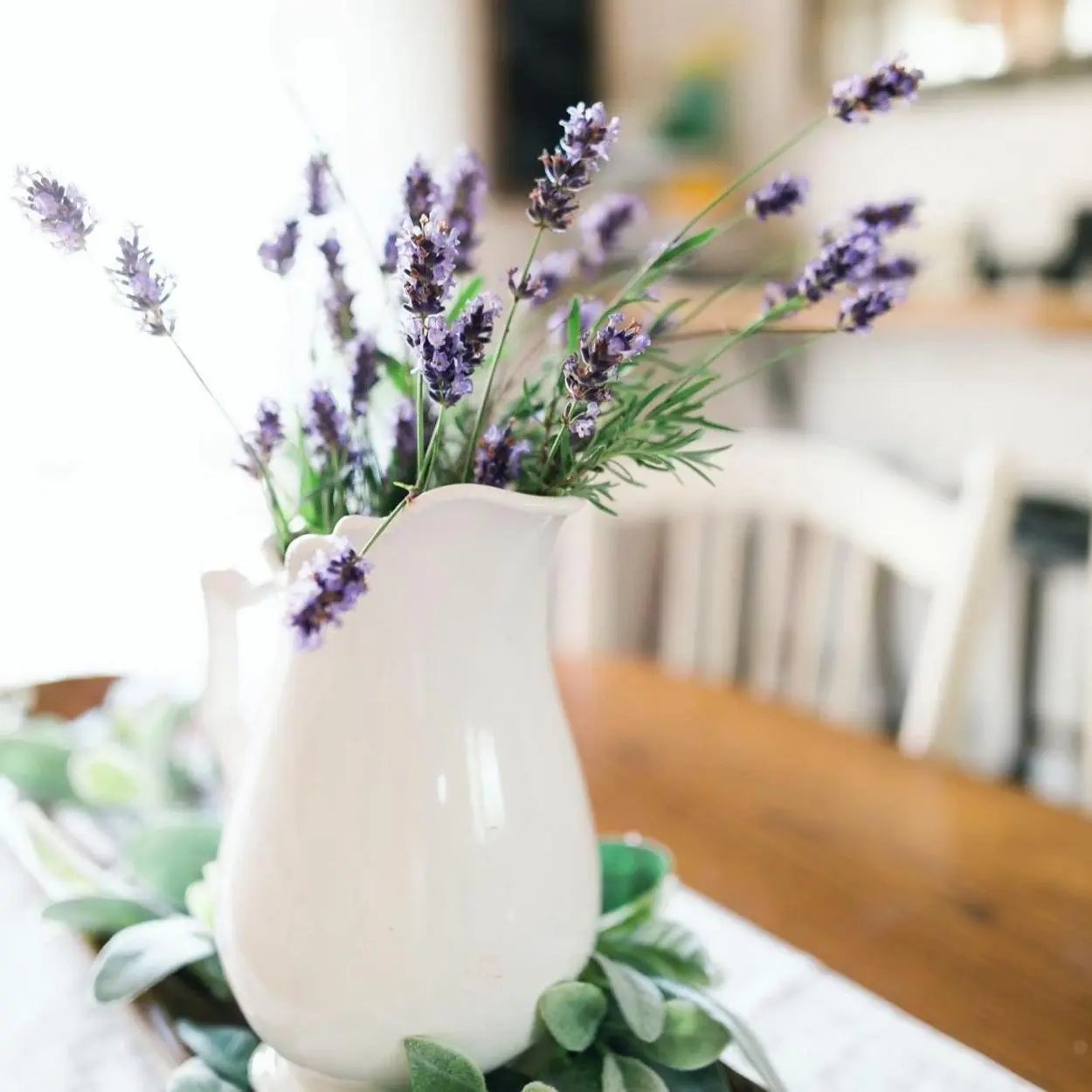 Jarro de lavanda: plantas para quarto. 