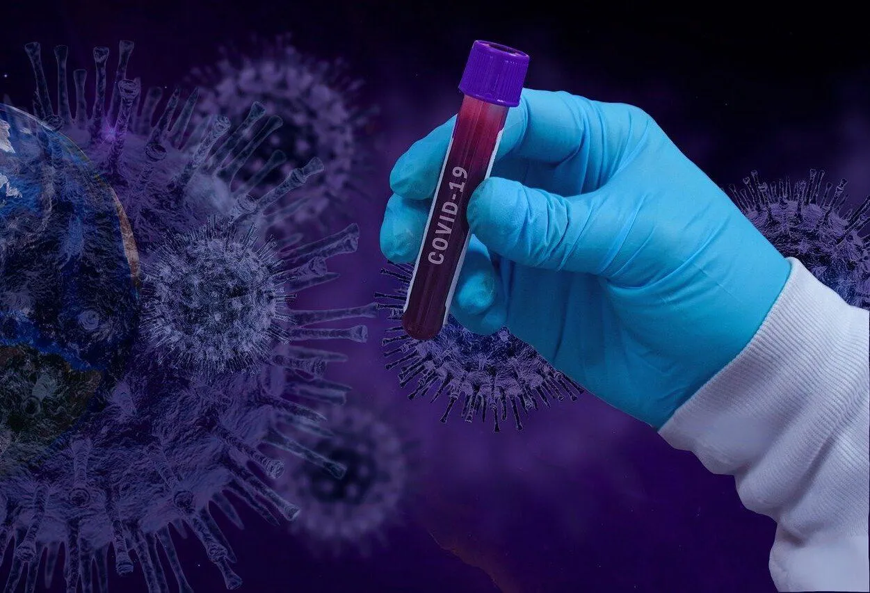 reinfecção do coronavírus