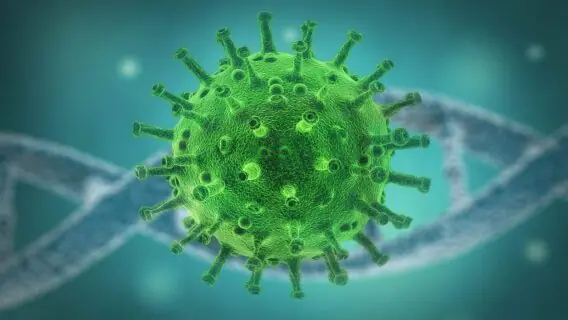 Hong Kong relata primeiro caso de reinfecção do coronavírus