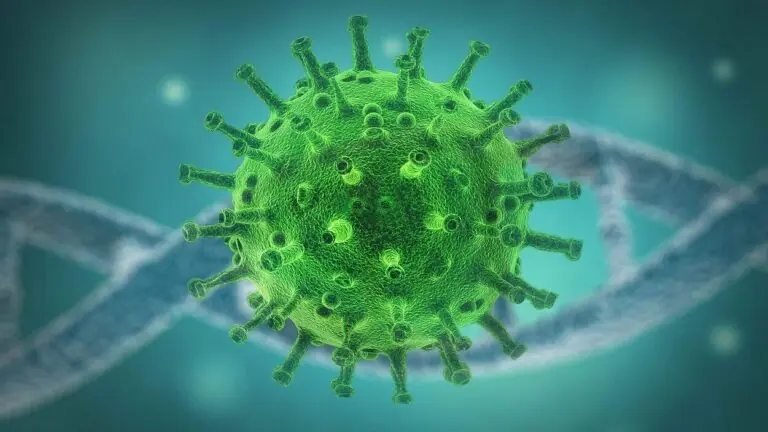 Hong Kong relata primeiro caso de reinfecção do coronavírus