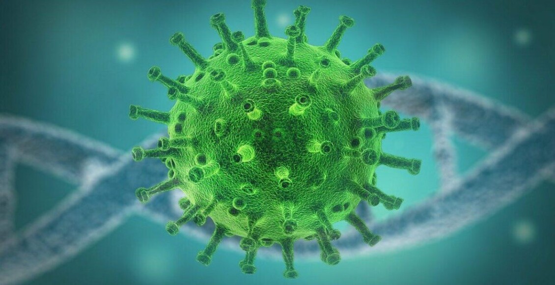 reinfecção do coronavírus