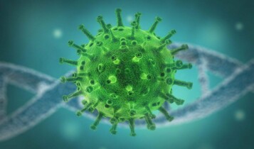 reinfecção do coronavírus