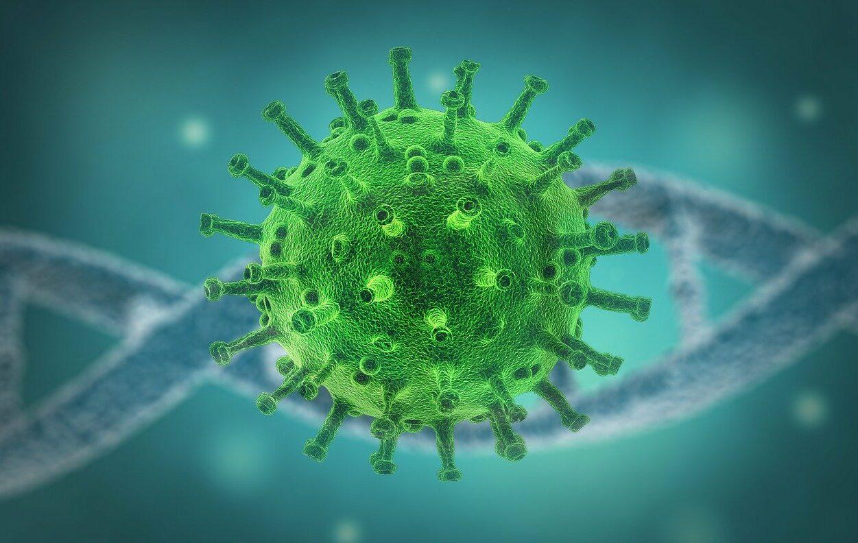 reinfecção do coronavírus