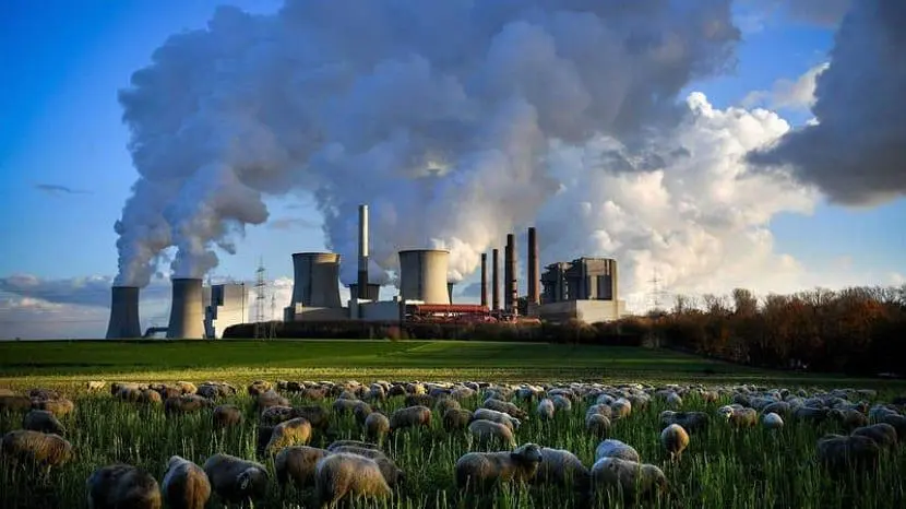 Foto mostra fumaça saindo de uma indústria ao lado de um pasto com animais. 