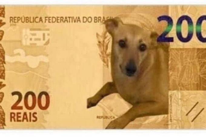 Nota de 200 reais com a imagem do cachorro vira-lata de cor parda