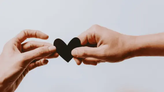 Responsabilidade social para empresas: entenda a importância