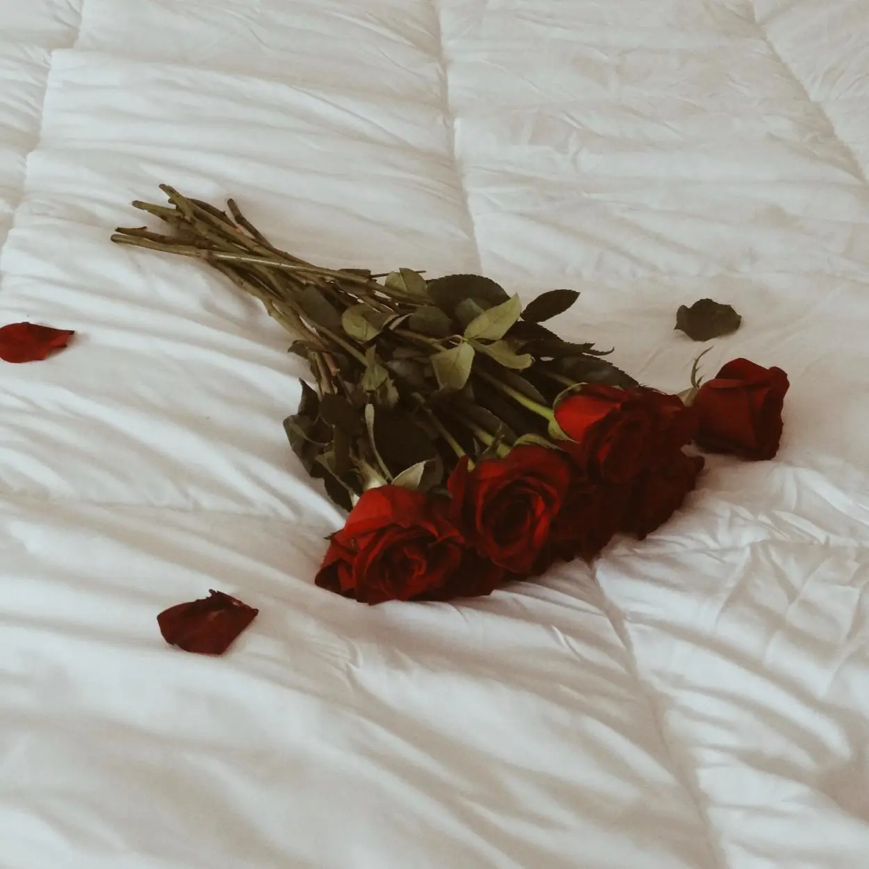 Simpatias de ano novo para atrair amor. 