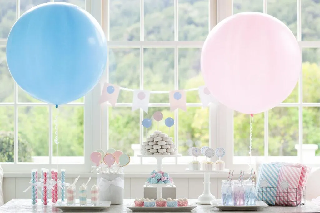 decoração minimalista e simples para chá revelação nas cores rosa colarinho e azul. Ao fundo, uma janela enorme com mata atrás.
