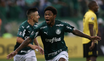 "Pra cego ler": Luis Adriano do Palmeiras comemorando um gol