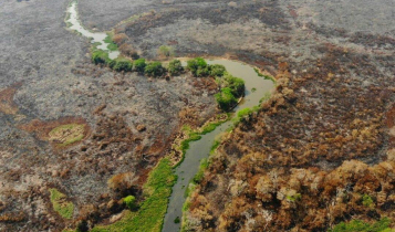 15 imagens do Pantanal que mostram a tragédia das queimadas