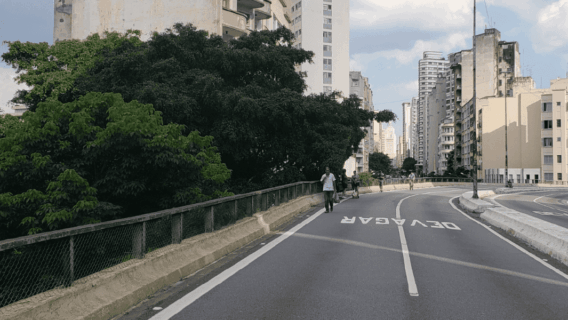 Parque ou demolição? Plebiscito vai decidir futuro do Minhocão; conheça história